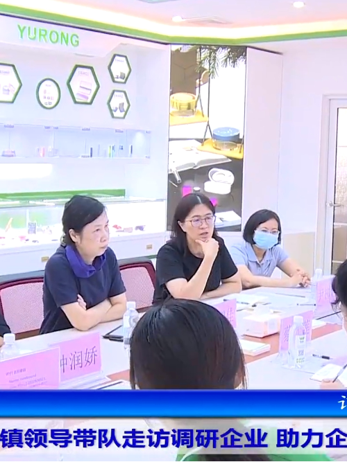 寮步镇党委书记赵智佳走访ag尊龙链接集团注塑模具加工